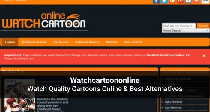WatchCartoonOnline TV – How to Make the Most of WatchCartoonOnline