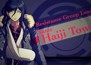 What Is Haiji Towa Ultimate?