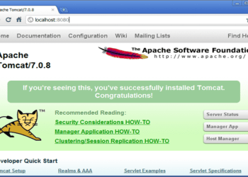 What You Should Know Before Installing Apache Tomcat