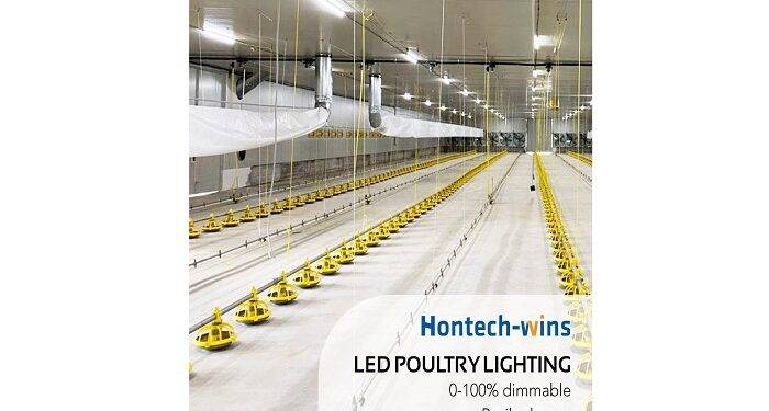 Everything You Should Know About Poultry LED Lighting