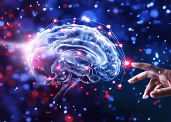  Guide to Improving Cognitive Function