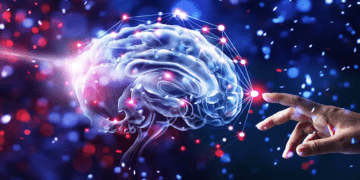  Guide to Improving Cognitive Function