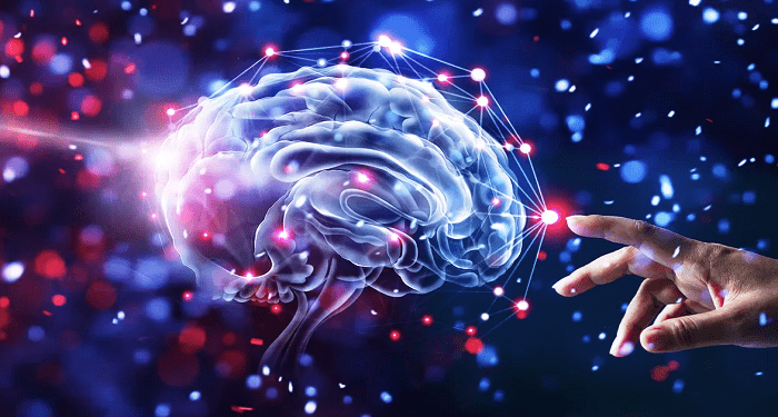  Guide to Improving Cognitive Function